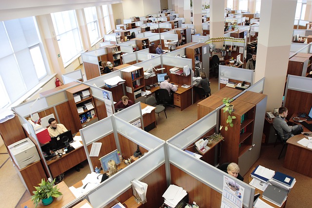 employees as insider threats